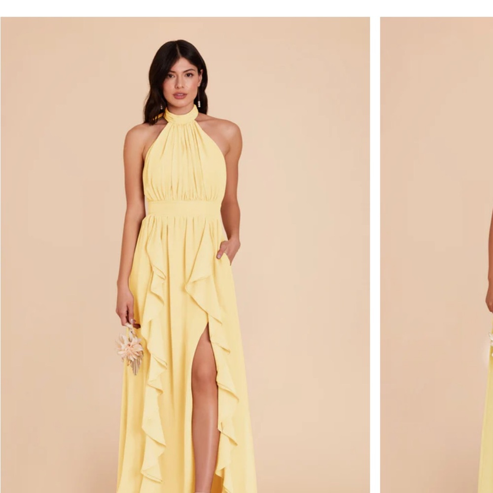 Birdy Grey Light Yellow Gown